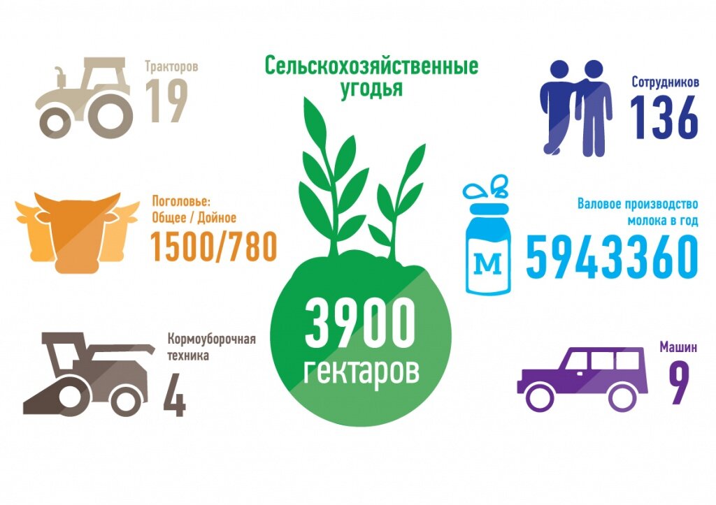 инфографика тукса.jpg
