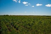 Экскурсия в Туксу