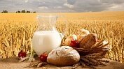 Ритейлеры заморозили цены на необходимые продукты