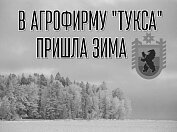 В Туксу пришла зима